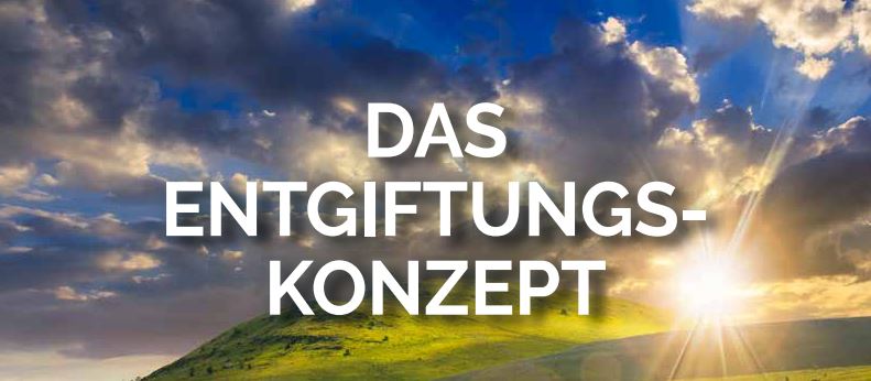 Unser Entgiftungskonzept kostenlos zum Download