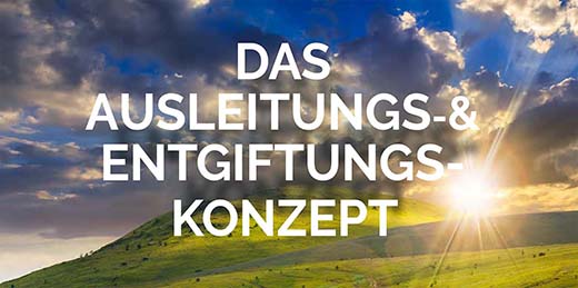 Unser Entgiftungskonzept kostenlos zum Download