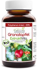 Granatapfel Vita