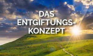 Die Entgiftungs-Schritte