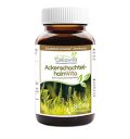 Acker-Schachtelhalm (Zinnkraut) Vita