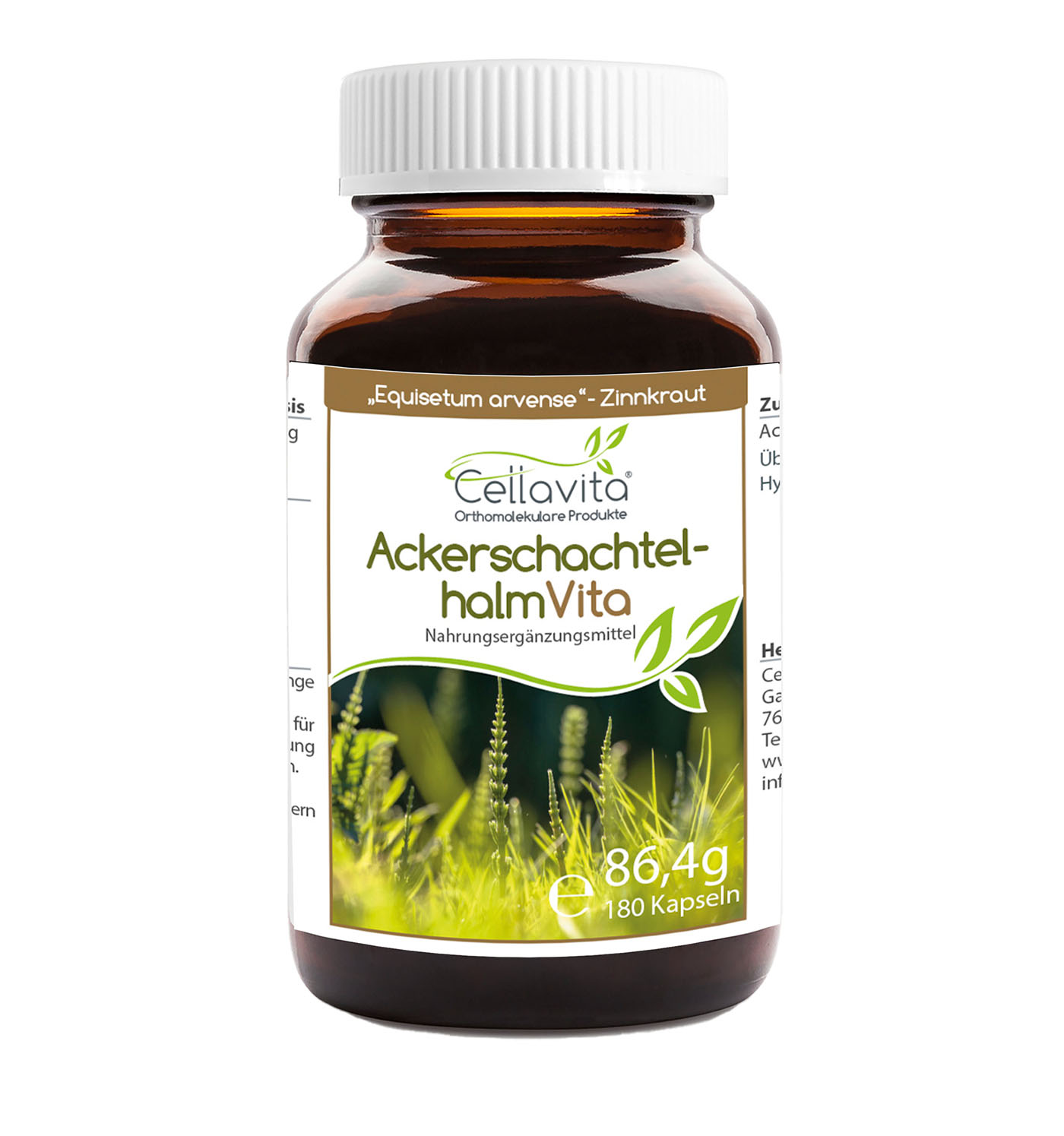 Acker-Schachtelhalm (Zinnkraut) Vita Acker-Schachtelhalm (Zinnkraut) Vita