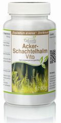 Acker-Schachtelhalm (Zinnkraut) Vita
