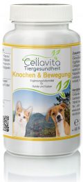 Knochen & Bewegung – für Hunde & Katzen