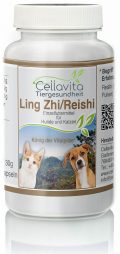 Ling Zhi / Reishi – für Hunde & Katzen