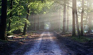 Meditationen zur Gesundheit von Geist und Körper