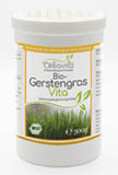 Bio Gerstengras Vita