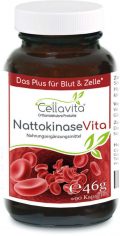 Nattokinase Vita