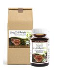 Ling Zhi / Reishi Pilzsporen Pulver (Exklusiv, reine Sporen vom Reishi-Pilz)