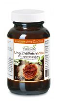 Ling Zhi / Reishi Pilzsporen Pulver (Exklusiv, reine Sporen vom Reishi-Pilz)
