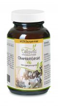Olivenblatt-Extrakt Vita mit 20% Oleuropein-Anteil | 90 Kapseln