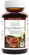 Ling Zhi / Reishi Pilzsporen Pulver (Exklusiv, reine Sporen vom Reishi-Pilz)