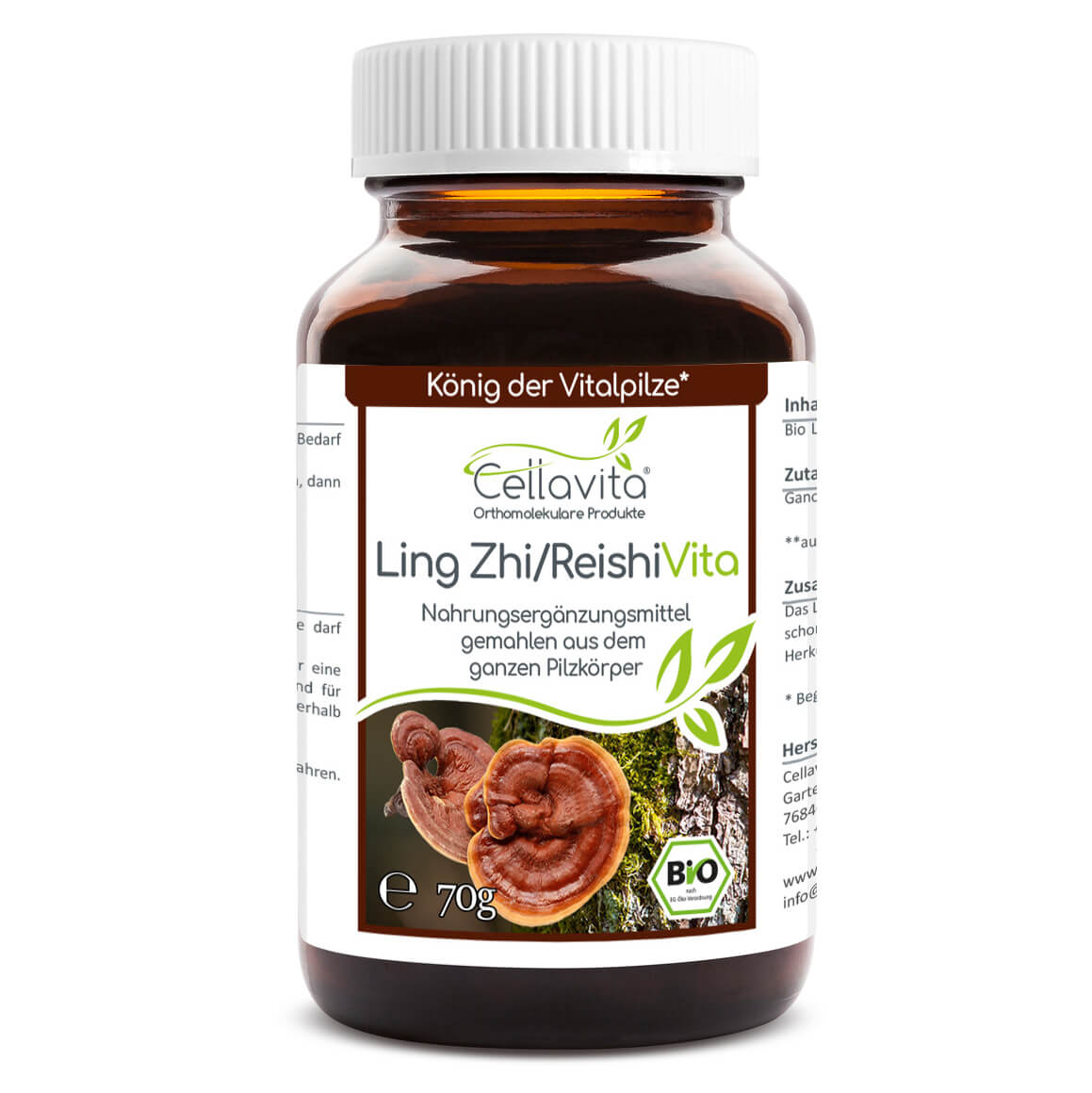 Ling Zhi / Reishi Pilzsporen Pulver (Exklusiv, reine Sporen vom Reishi-Pilz)