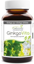 Ginkgo (Ginkgo biloba)