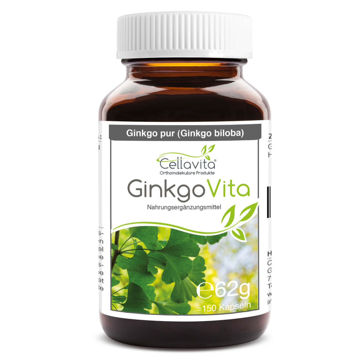 Ginkgo (Ginkgo biloba)